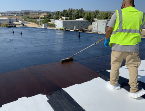 Elevate Your Property: Transformative Roof Restoration Services