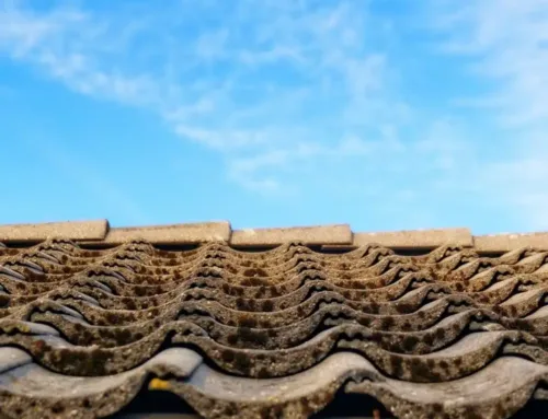 Learn Why Commercial Roofers Near Me Recommend Regular Roof Maintenance & Inspections