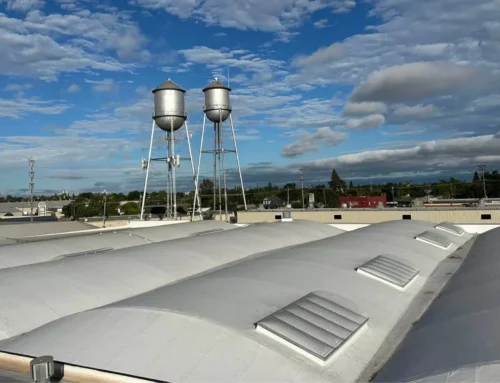 Identifying the Most Common Causes of Skylight Leaks and How They Affect Long-Term Roof Performance