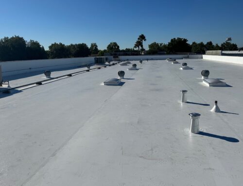 Commercial TPO Roof Replacement & Dry Rot Repair, Brentwood CA
