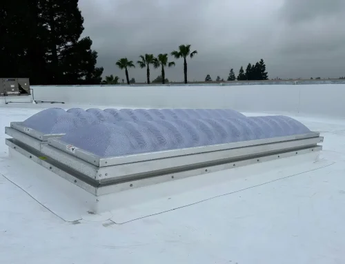 Which Types of Roofs Can Be Restored to Extend Their Lifespan and Performance