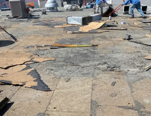 Common Signs a Commercial Roof Needs Replacement to Prevent Costly Structural Damage