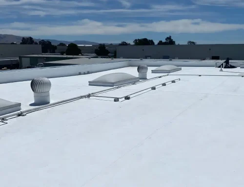 Everything You Need to Know About Comparing TPO Roofing Companies Effectively