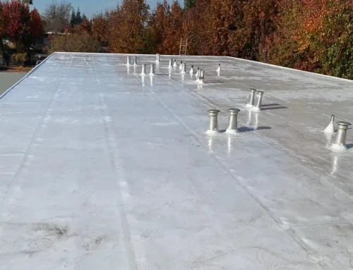Transform Your Commercial Roof with the Right Coating: A Comprehensive Overview of Options