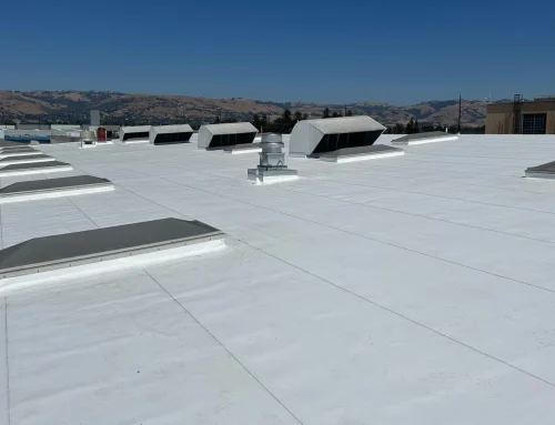 The Ultimate Guide to Selecting the Best Roof Coating Systems for Flat Commercial Roofs
