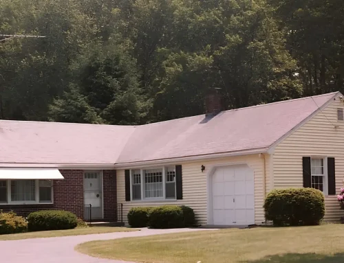 From Inspections to Repairs: Explore What Commercial Roof Maintenance Services Include