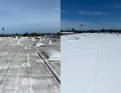 From Inspections to Repairs: Explore What Commercial Roof Maintenance Services Include