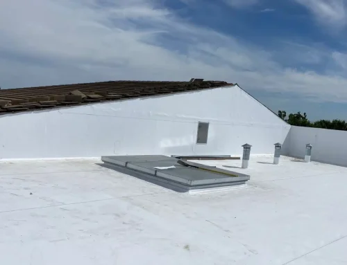 Commercial Roofing Services Explained: Everything Professional Roofing Companies Can Do for Your Business