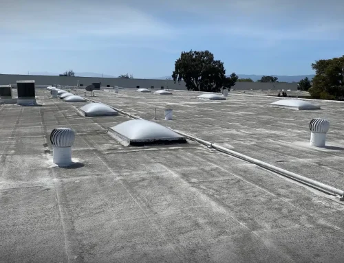 Catch Roof Damage Early by Watching for These Common Signs of Trouble