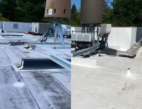 Catch Small Roof Problems Before They Disrupt Business With Commercial Roof Maintenance Near Me