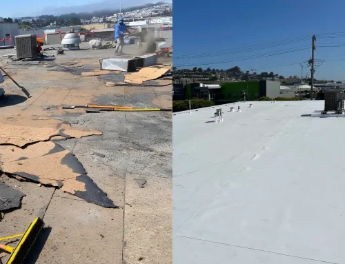 Compare Commercial Roofing Companies Near Me: Seven Questions That Reveal More Than Price