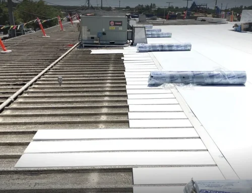 From TPO to Metal, Discover the Most Popular Commercial Roofing Systems